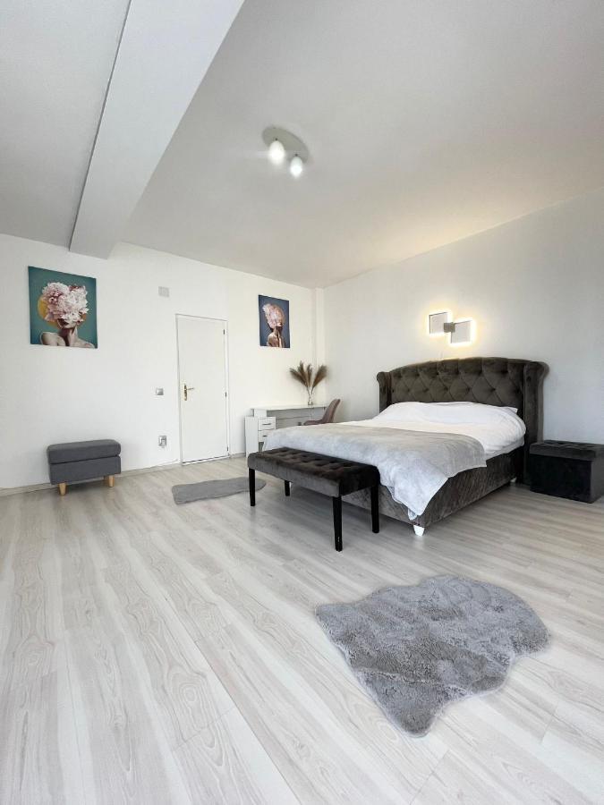 Panoramic Studio Apartman Kolozsvár Kültér fotó